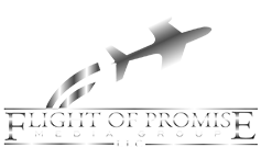 Flight of Promise Media Group